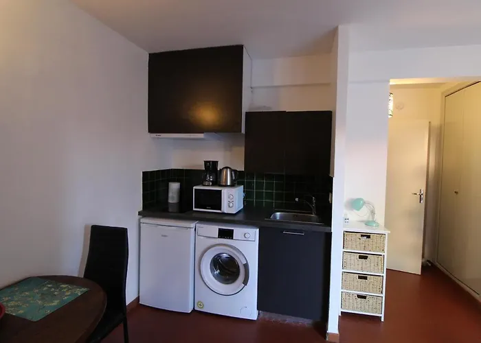 Agreable Avec Terrasse A 300m De La A - Fr-1-309-360 * 科利尤尔